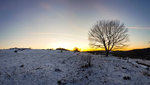 Зимняя Сцена Снегом Вечерним Солнцем — стоковое фото