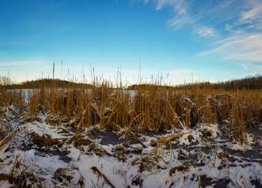 bulutlu bir gökyüzünün altındaki doğal manzara manzarası