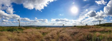 bulutlu bir gökyüzünün altındaki doğal manzara manzarası
