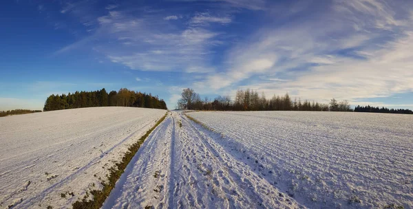 bulutlu bir gökyüzünün altındaki doğal manzara manzarası