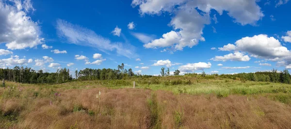 bulutlu bir gökyüzünün altındaki doğal manzara manzarası