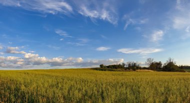 bulutlu bir gökyüzünün altındaki doğal manzara manzarası