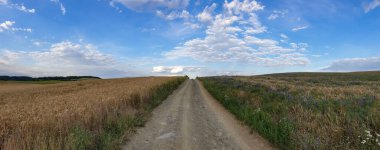 bulutlu bir gökyüzünün altındaki doğal manzara manzarası