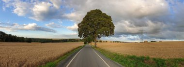 bulutlu bir gökyüzünün altındaki doğal manzara manzarası