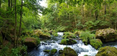 bulutlu bir gökyüzünün altındaki doğal manzara manzarası