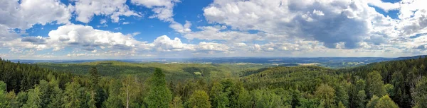 Живописный Вид Красивую Зеленую Сцену Голубым Облачным Небом — стоковое фото
