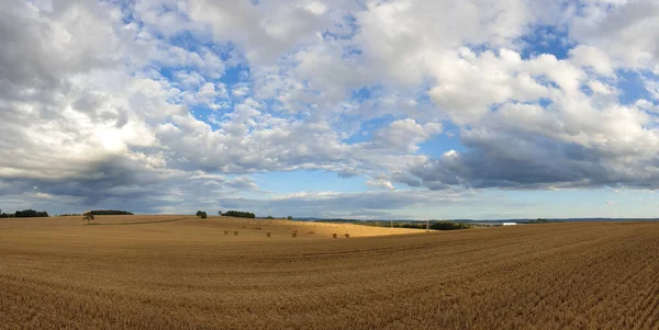 Vista Panorámica Del Campo Trigo Bajo Cielo Azul Nublado —  Fotos de Stock