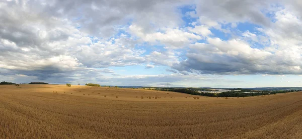 Mavi Bulutlu Gökyüzünün Altındaki Buğday Tarlasının Manzarası — Stok fotoğraf