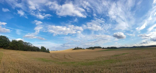 Vista Panorámica Del Campo Trigo Bajo Cielo Azul Nublado —  Fotos de Stock