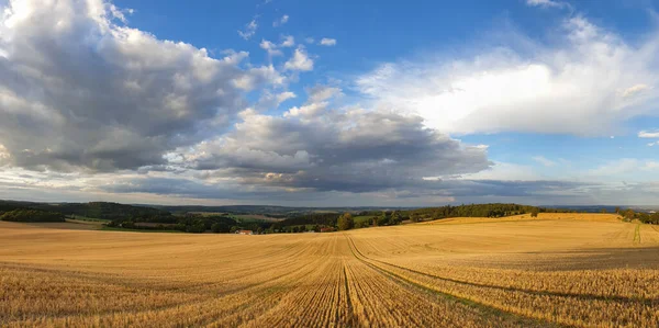 Vista Panorámica Del Campo Trigo Bajo Cielo Azul Nublado —  Fotos de Stock