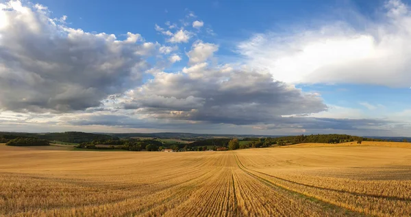 Vista Panorámica Del Campo Trigo Bajo Cielo Azul Nublado —  Fotos de Stock