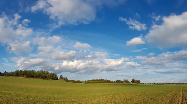 Vista Panorámica Hermosa Escena Verde Con Cielo Azul Nublado —  Fotos de Stock