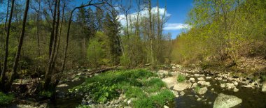 bulutlu bir gökyüzünün altındaki doğal manzara manzarası