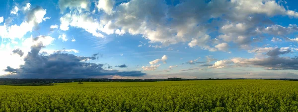 青空が広がる美しい緑の景色 — ストック写真