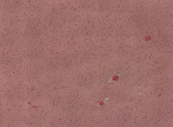 Fondo Pantalla Abstracto Células Tejido Microscopio Disparo — Foto de Stock
