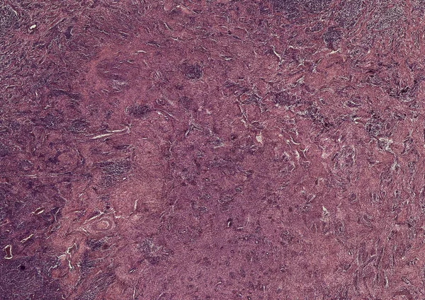Soyut Duvar Kağıdı Hücre Dokusu Mikroskobu — Stok fotoğraf