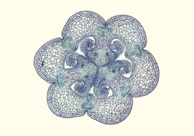 Bej arkaplanda soyut hücre elemanının mikroskop görüntüsü