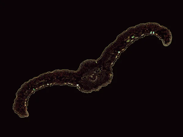 暗黒の背景に抽象的な細胞要素の顕微鏡写真 — ストック写真