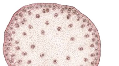 Beyaz arkaplanda hücre ögesini hareket ettir