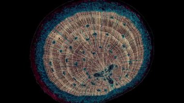 Koyu arkaplanda hücre ögesi hareket ediyor