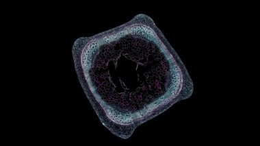 Koyu arkaplanda hücre ögesi hareket ediyor