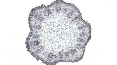 Beyaz arkaplanda hücre ögesini hareket ettir