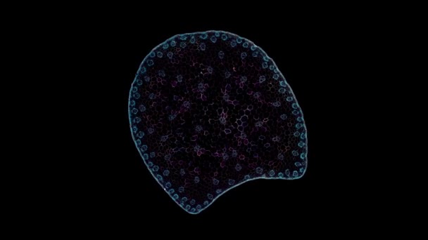 Element Celular Mișcare Fundal Întunecat — Videoclip de stoc