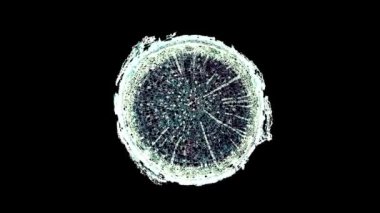 Koyu arkaplanda hücre ögesi hareket ediyor