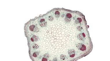 Beyaz arkaplanda hücre ögesini hareket ettir