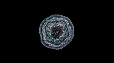 Koyu arkaplanda hücre ögesi hareket ediyor