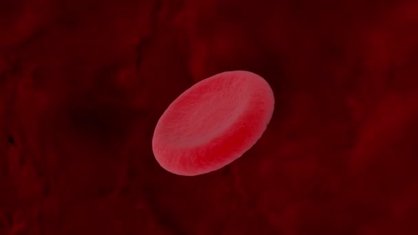 Animazione Delle Cellule Del Sangue — Video Stock