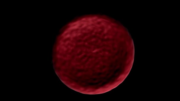 血细胞3D动画 — 图库视频影像