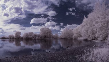 Tek renkli gölün tek renkli görüntüsü Ağaçlar ve bulutlu gökyüzü 