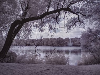Tek renkli gölün tek renkli görüntüsü Ağaçlar ve bulutlu gökyüzü 