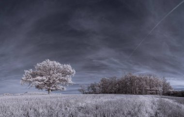 bulutlu gökyüzü ile sade manzaranın tonlu görüntüsü