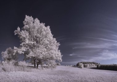 bulutlu gökyüzü ile sade manzaranın tonlu görüntüsü