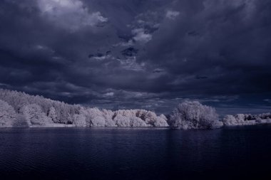 Kızılötesi fotoğrafçılık - gökyüzü altında bulutlu ağaç bulunan manzaranın fotoğrafı - dünyamızın sanatı ve kızılötesi kamera spektrumundaki bitkiler