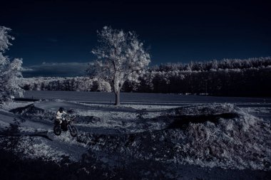 Kızılötesi fotoğrafçılık - gökyüzü altında bulutlu ağaç bulunan manzaranın fotoğrafı - dünyamızın sanatı ve kızılötesi kamera spektrumundaki bitkiler