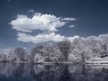 Kızılötesi fotoğrafçılık - gökyüzü altında bulutlu ağaç bulunan manzaranın fotoğrafı - dünyamızın sanatı ve kızılötesi kamera spektrumundaki bitkiler