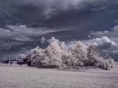 mavi gökyüzü ve beyaz bitkilerle dolu sade bir manzara.