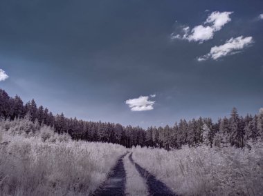 Bulutlu gökyüzü ve gri bitkilerle donatılmış yol görüntüsü