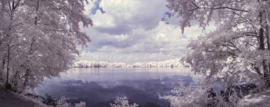 Tek renkli gölün tek renkli görüntüsü Ağaçlar ve bulutlu gökyüzü 