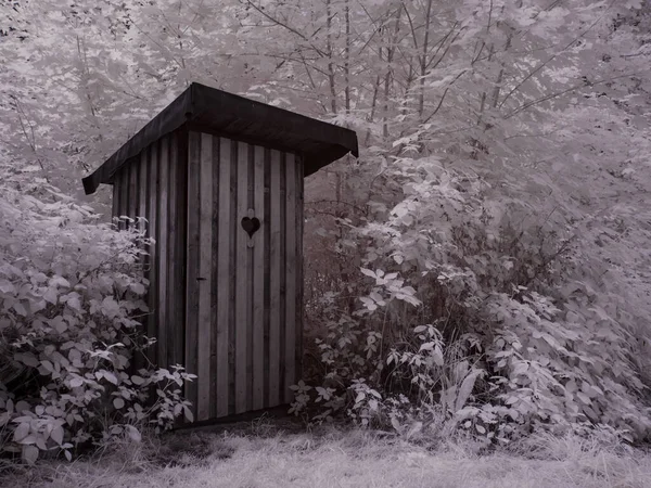 Kızılötesi fotoğrafçılık - gökyüzü altında bulutlu ağaç bulunan manzaranın fotoğrafı - dünyamızın sanatı ve kızılötesi kamera spektrumundaki bitkiler