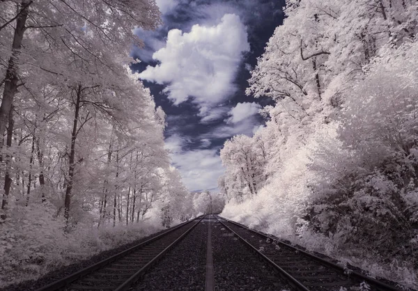 青い空と白い植物と道路のトーンショット — ストック写真