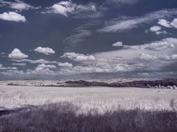 Cliché Tonique Paysage Avec Ciel Nuageux Plantes Grises — Photo