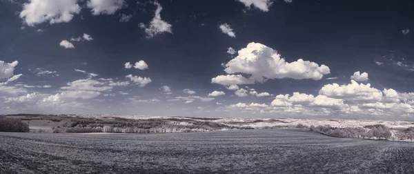 Monokrom Toned Shot Lake Trees Cloudy Sky — Stok Foto