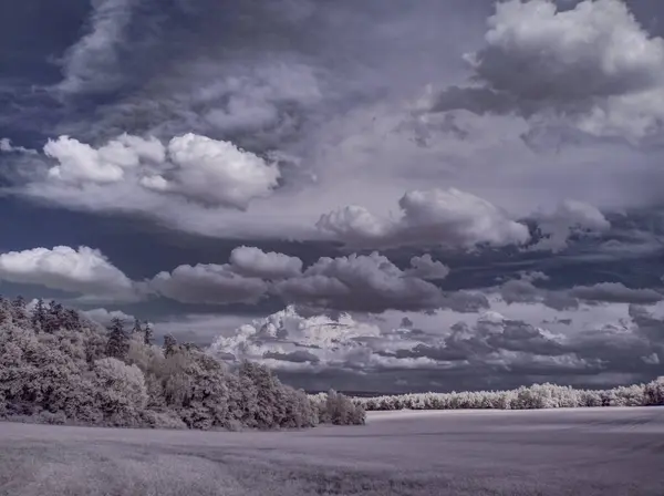 Bulutlu Gökyüzü Gri Bitkilerle Donatılmış Manzara Görüntüsü — Stok fotoğraf