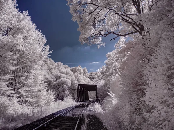 Tonaufnahme Von Landschaft Mit Eisenbahn Und Blauem Himmel — Stockfoto