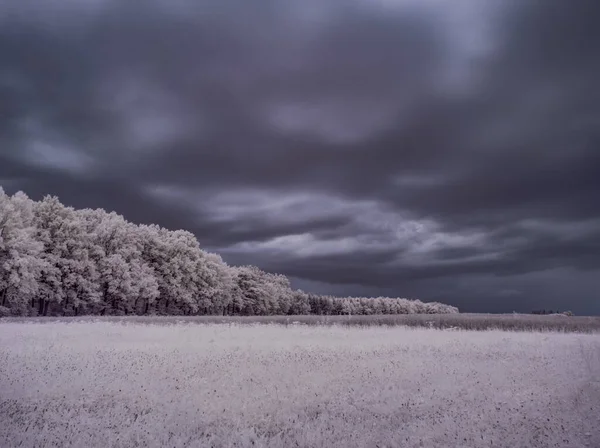 Bulutlu Gökyüzü Gri Bitkilerle Donatılmış Manzara Görüntüsü — Stok fotoğraf