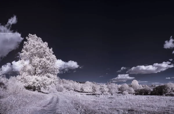 Getönte Aufnahme Einer Flachen Landschaft Mit Blauem Himmel Und Weißen — Stockfoto